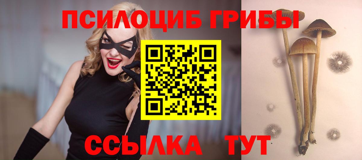 Мытищи  Псилоцибиновые грибы Magic Shrooms  Вход с VPN  Галлюциногенные грибы Psilocybe 